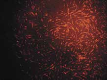 ����������� � ������� 6.6, ������� 14